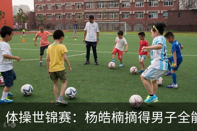 体操世锦赛：杨皓楠摘得男子全能银牌